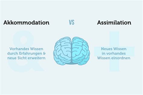 assimilation und akkommodation beispiele.